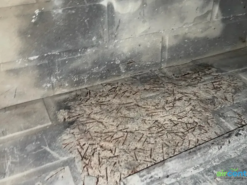 Before chimney sweep & repair — Firebox