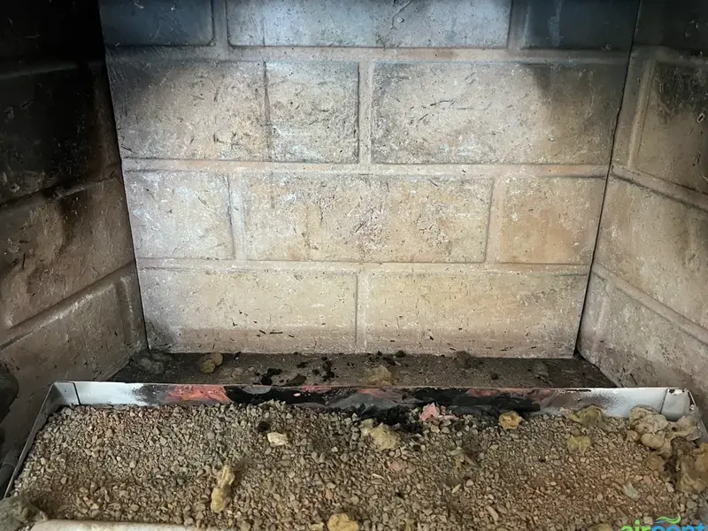 Before chimney sweep & repair - Firebox Interior