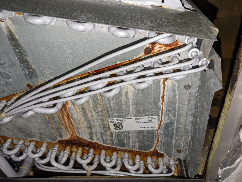 Before uv-c light installation — Evaporator Coil