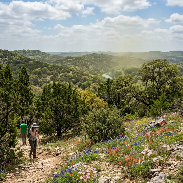 Austin Pollen Calendar 2026: Season-by-Season Guide