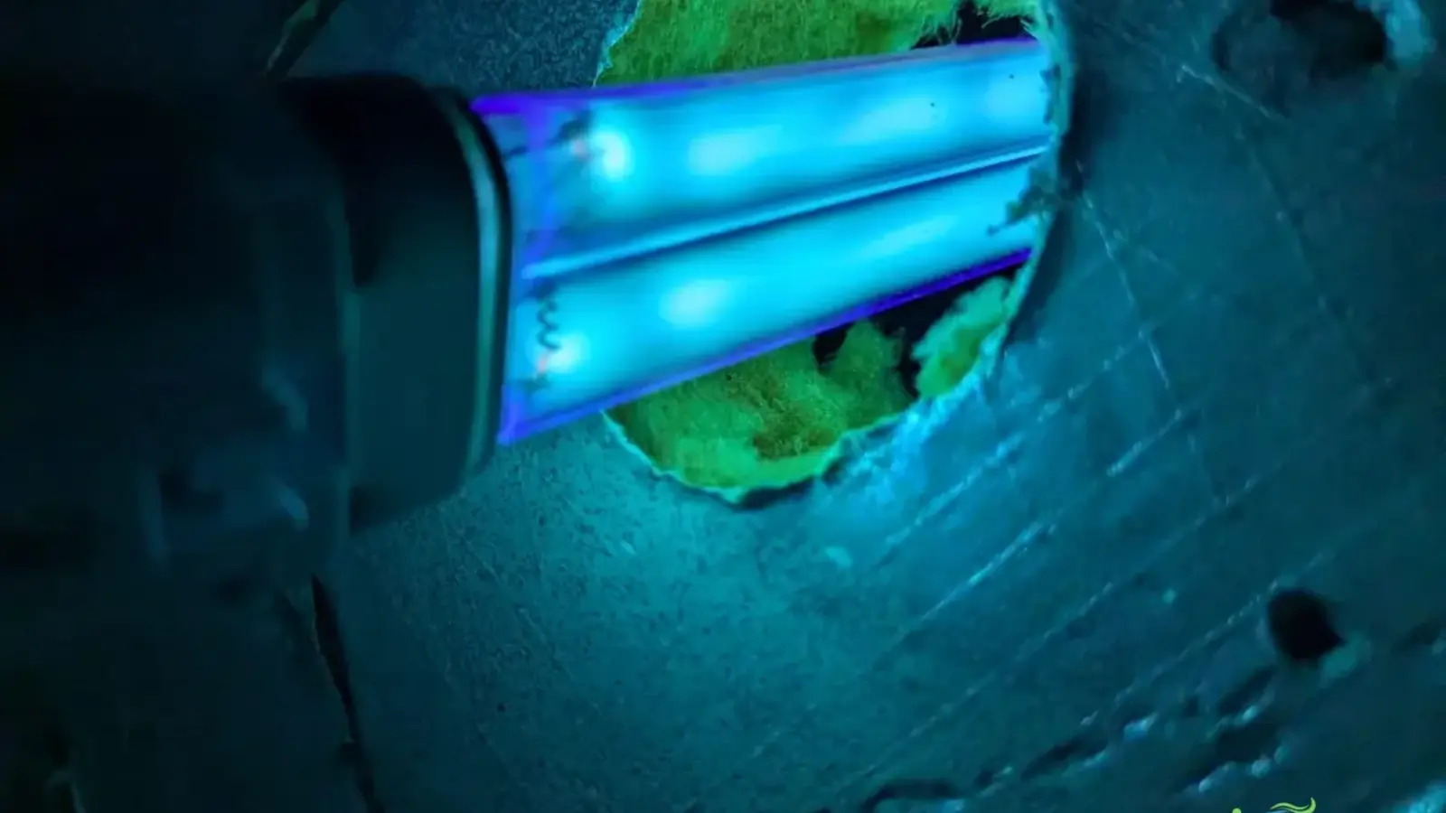10 Tips to Improve Indoor Air Quality in Your Austin Home