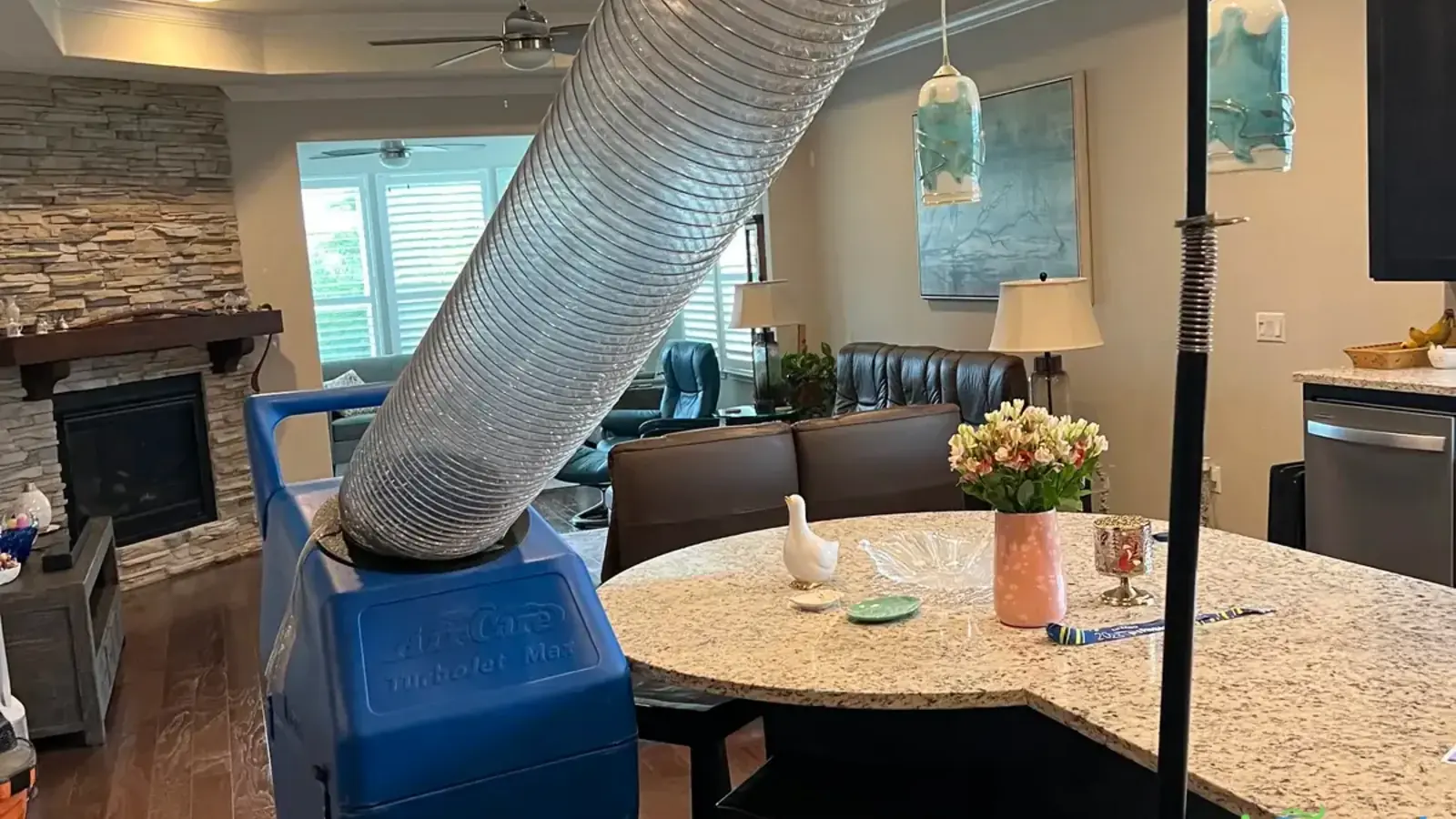 Austin Humidity and Mold: Your HVAC Is Your First Defense
