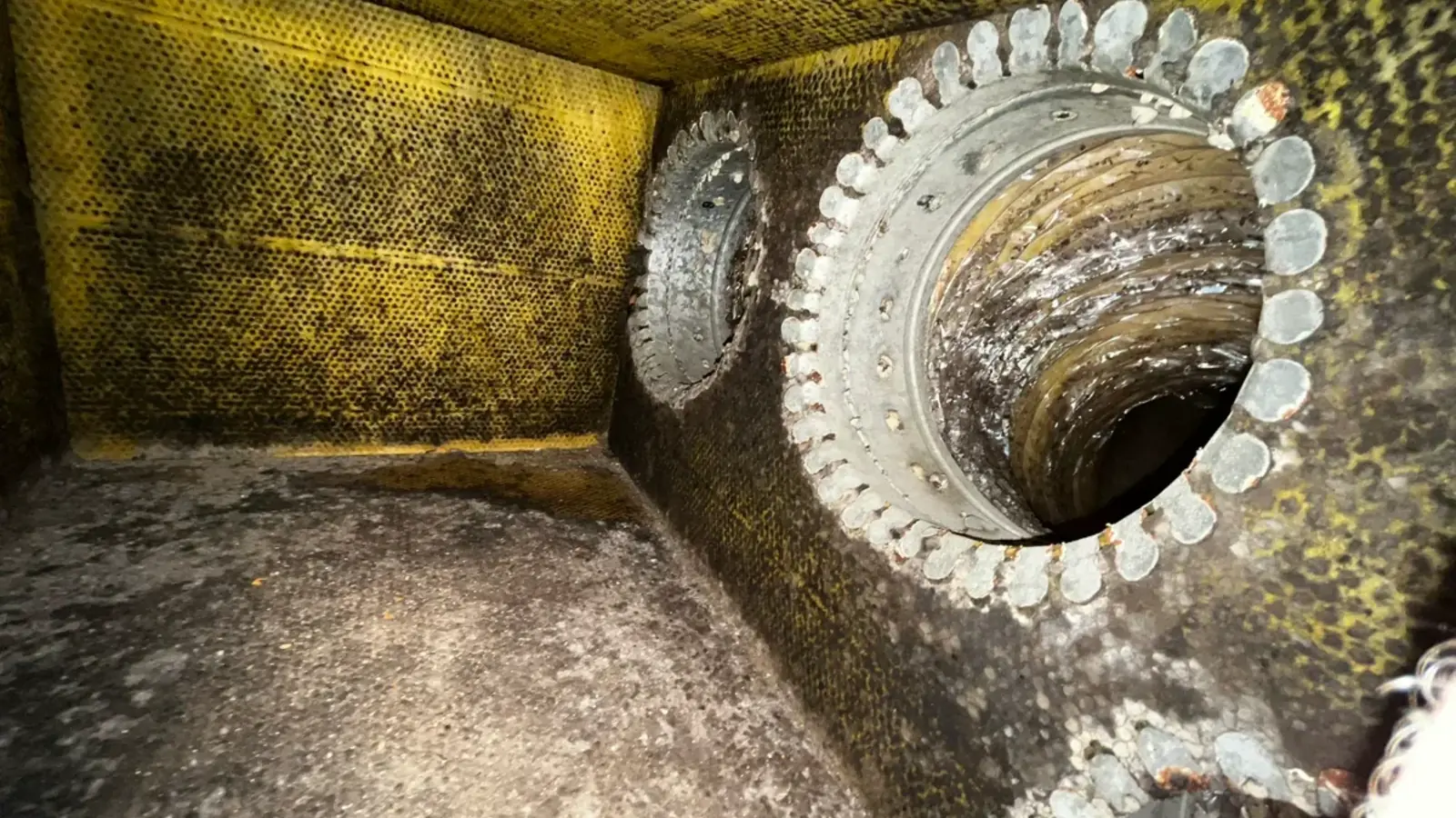 Black Mold and Air Ducts: Facts vs Fears