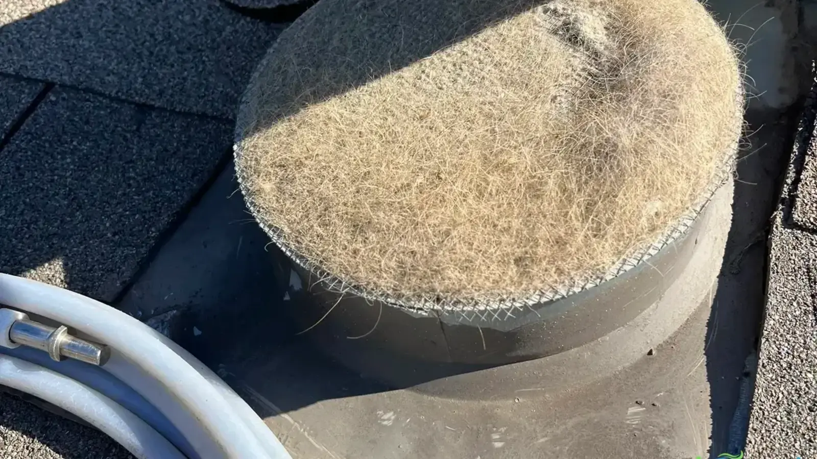 Dryer Vent Cleaning in Austin: The Complete Safety Guide (2026)