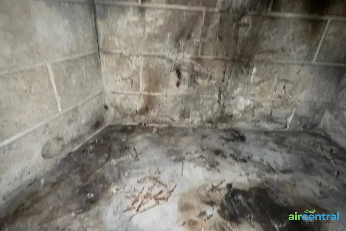 When to Replace Your Cap or Damper - Air Central chimney service in Austin TX