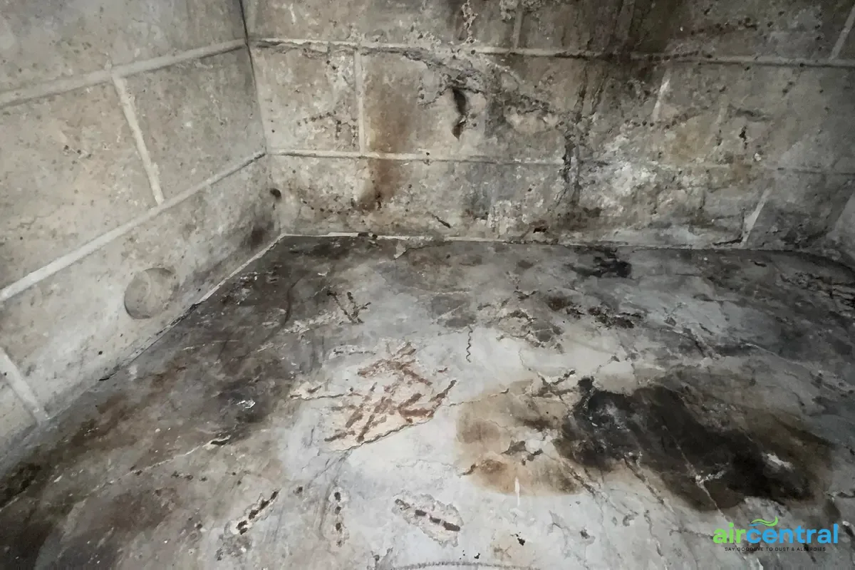 November-December: Winter Preparation and Cedar Season Start - Air Central seasonal guides service in Austin TX