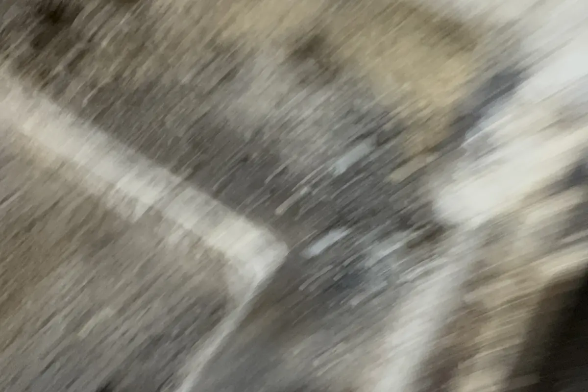 What Happens During a Professional Chimney Sweep? - Air Central chimney service in Austin TX