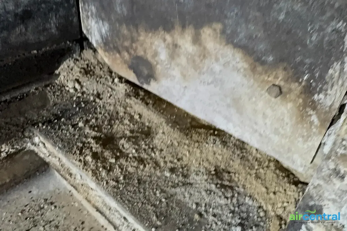 What Does a Professional Chimney Sweep Include? - Air Central chimney service in Austin TX