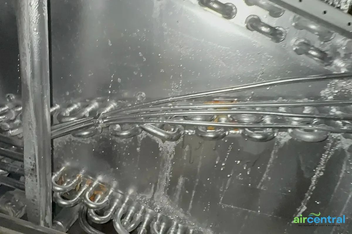 Austin Winter Is Different - Air Central seasonal guides service in Austin TX