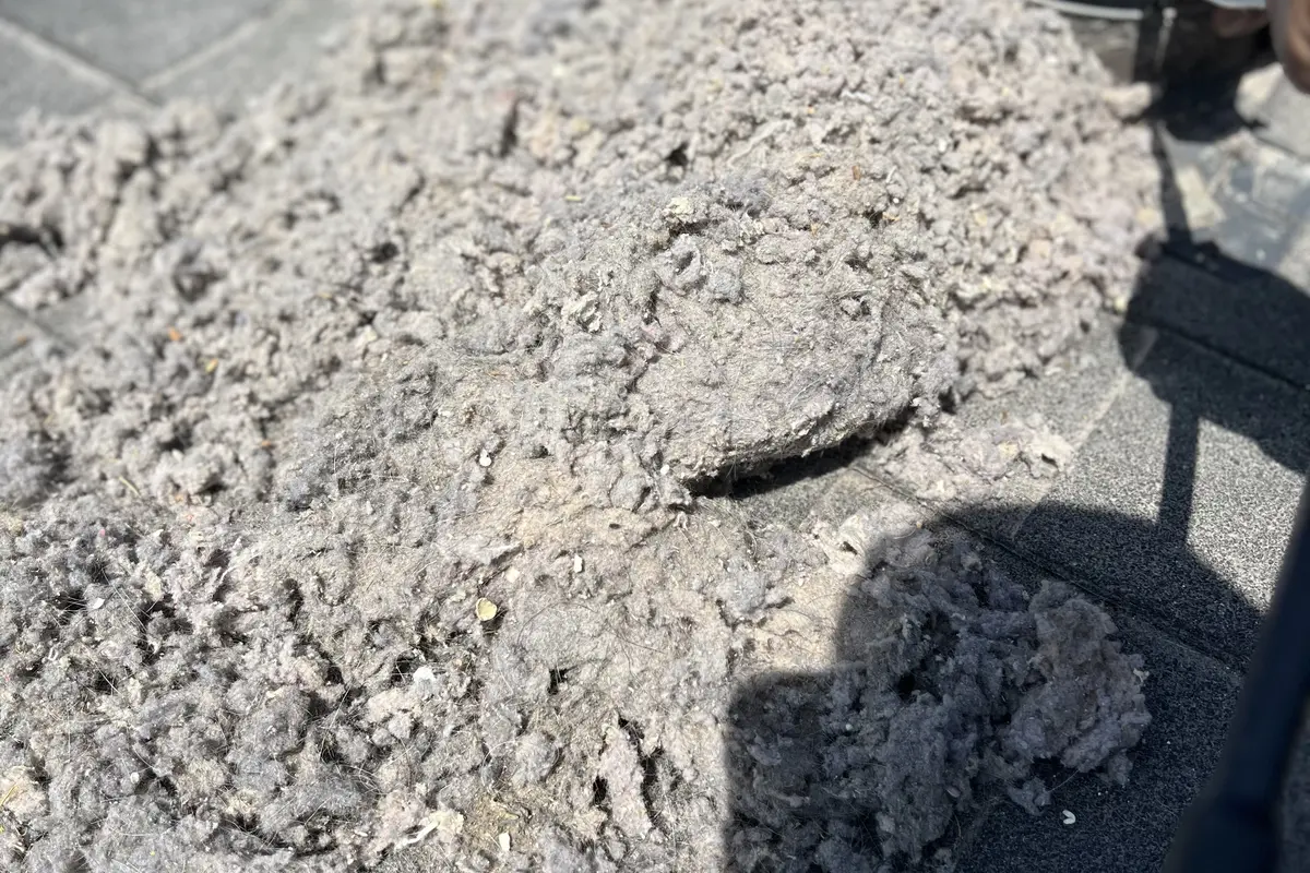 Air Central seasonal guides - dryer in Austin TX