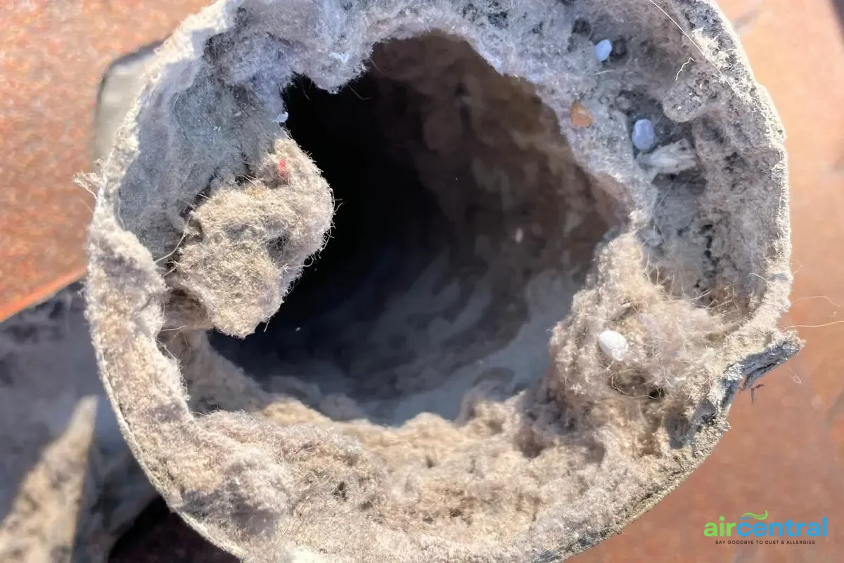 Dryer Vent Bird Nest Removal and Professional Cleaning Service - Air Central dryer vent service in Austin TX