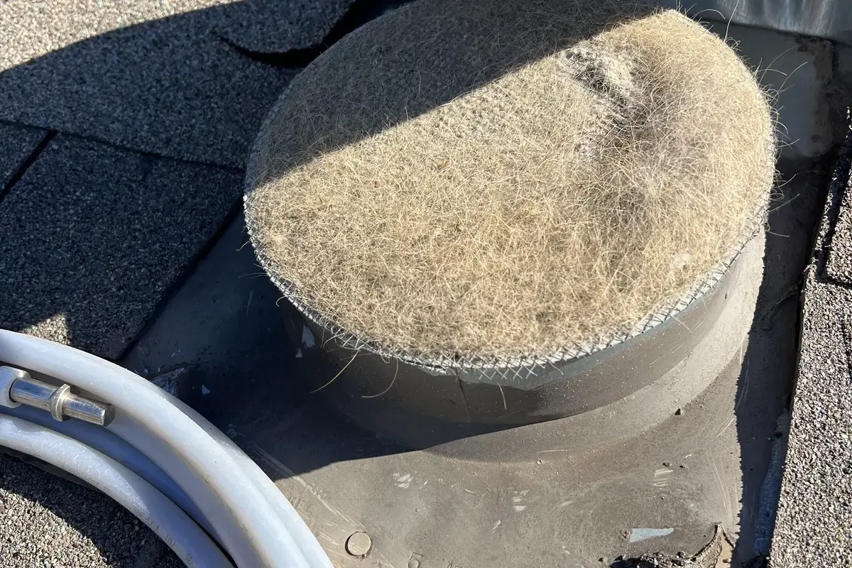 Air Central seasonal guides - dryer in Austin TX