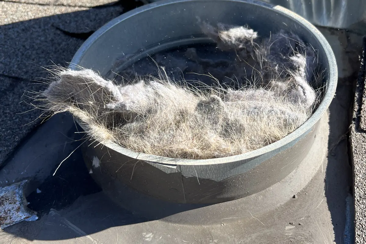 Air Central dryer vent - dryer in Austin TX