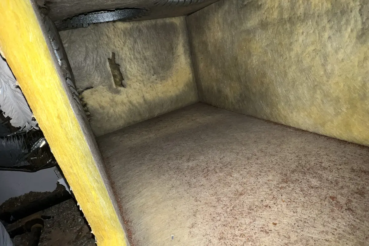 Air Central indoor air quality - plenum in Austin TX