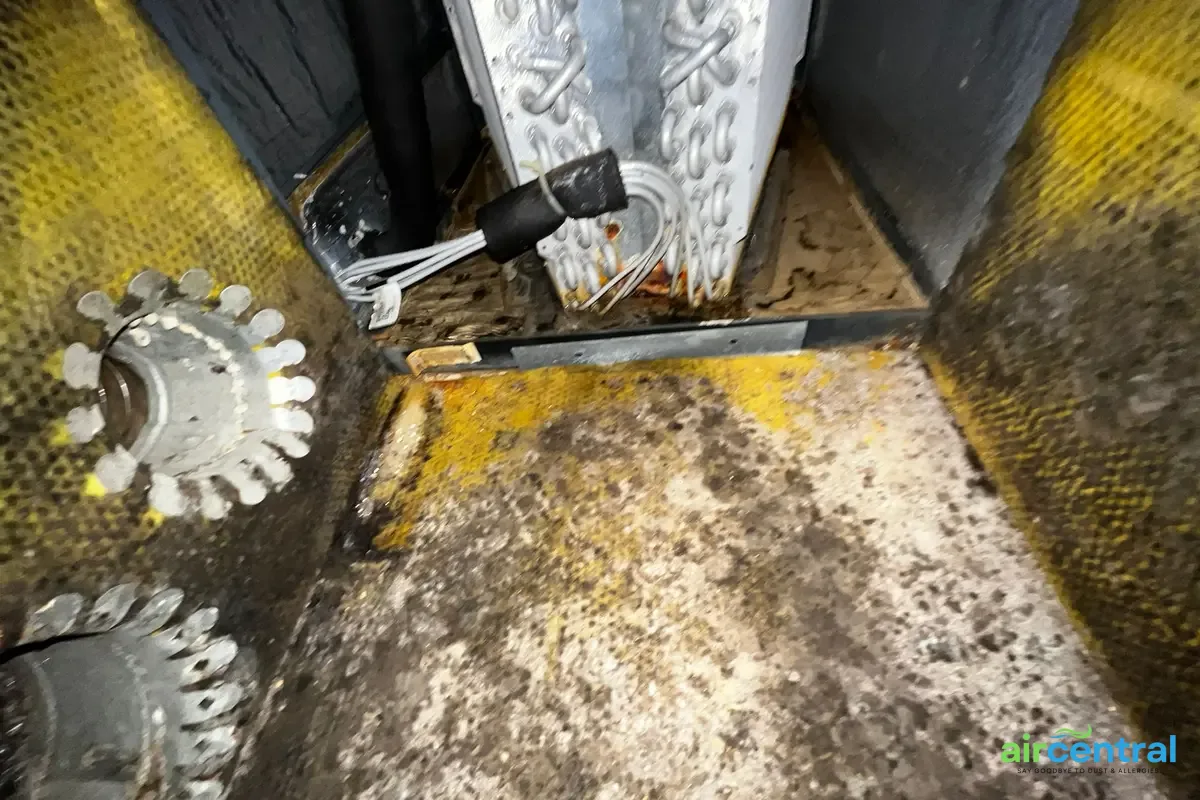 What Is an Air Handler and Where Is Yours? - Air Central indoor air quality service in Austin TX