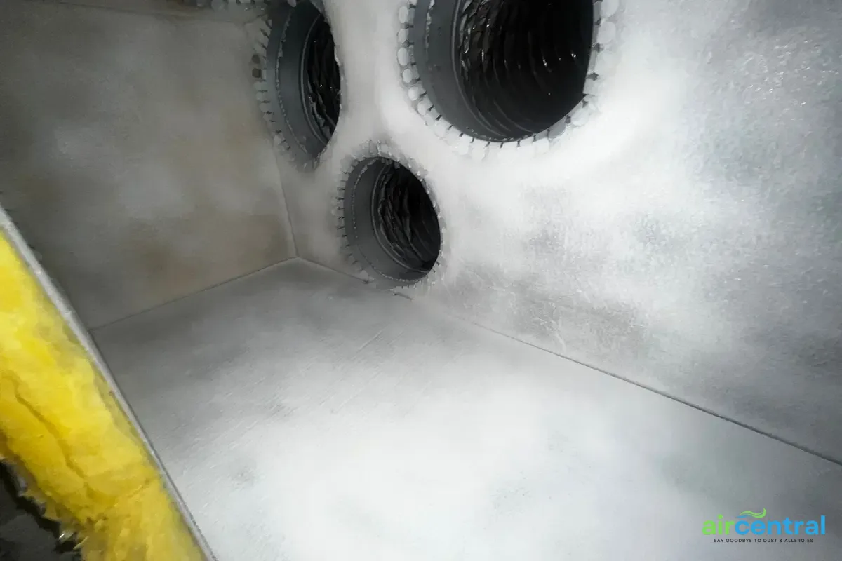 How Often to Inspect Your Air Handler for Mold in Austin - Air Central indoor air quality service in Austin TX