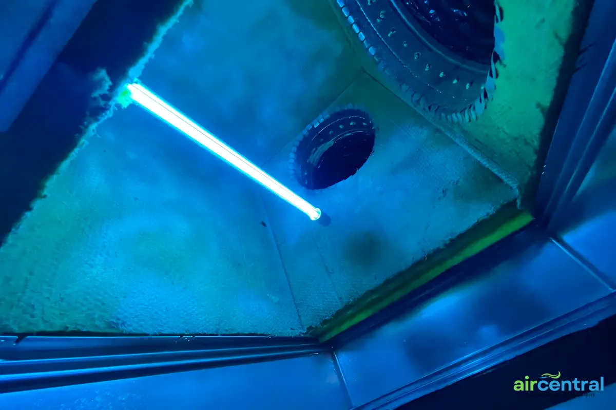 December Checklist: Cedar Season Air Quality - Air Central seasonal guides service in Austin TX