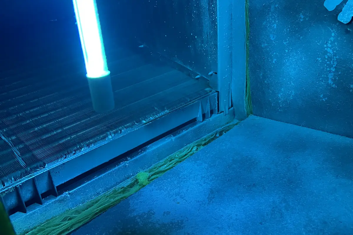 Which Option Is Best for Austin Homes? - Air Central indoor air quality service in Austin TX