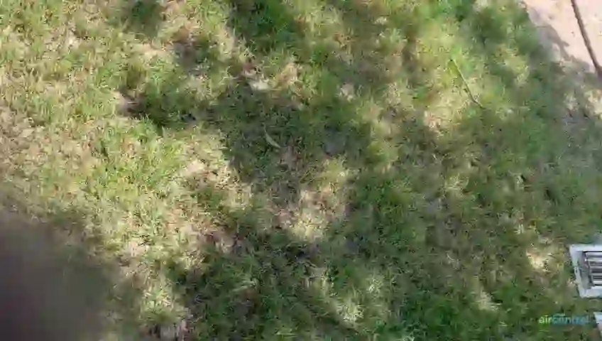 Blower motor cleaning process